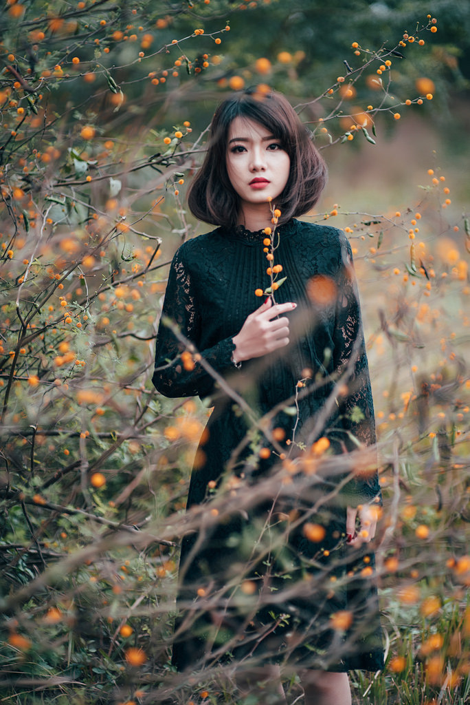少年白马醉春风第二季在线观看